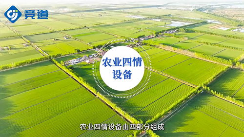 搜了視頻 產(chǎn)品視頻 b2b視頻 供應(yīng)視頻